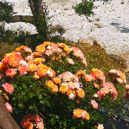 Agriturismo I Colli Montaione Εξωτερικό φωτογραφία