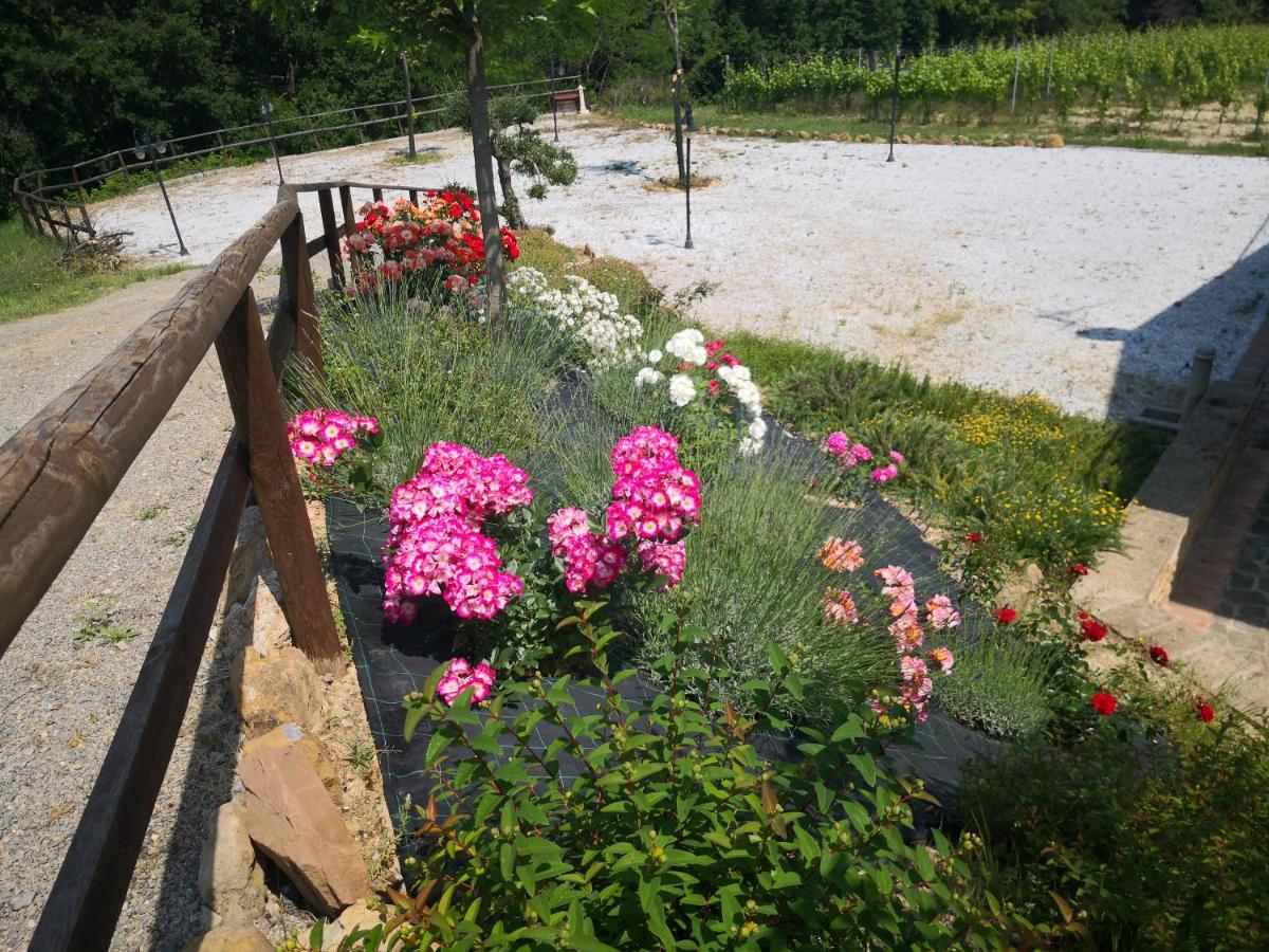 Agriturismo I Colli Montaione Εξωτερικό φωτογραφία