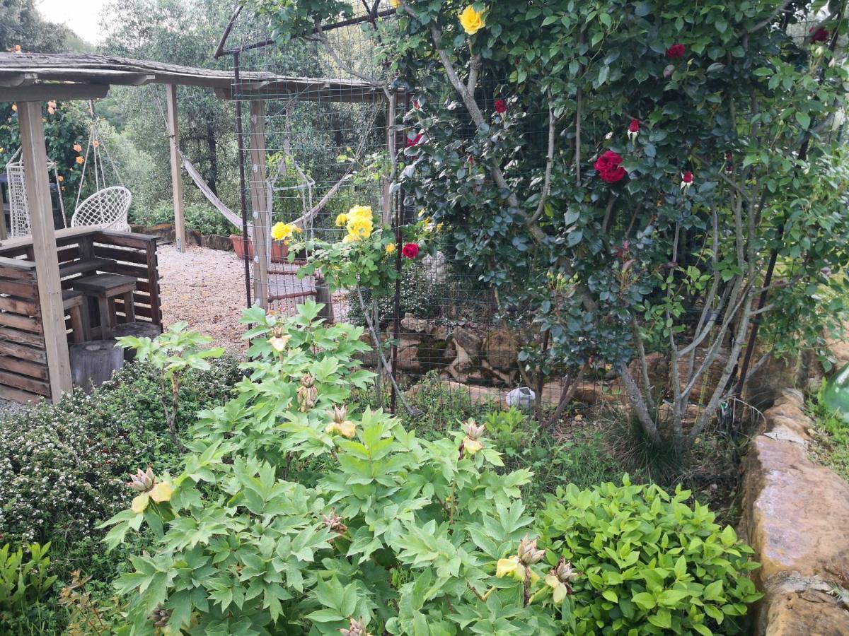 Agriturismo I Colli Montaione Εξωτερικό φωτογραφία